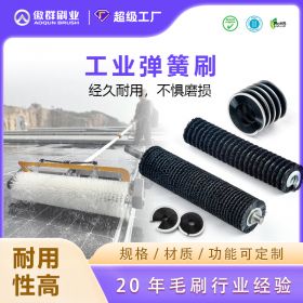 工業(yè)彈簧刷