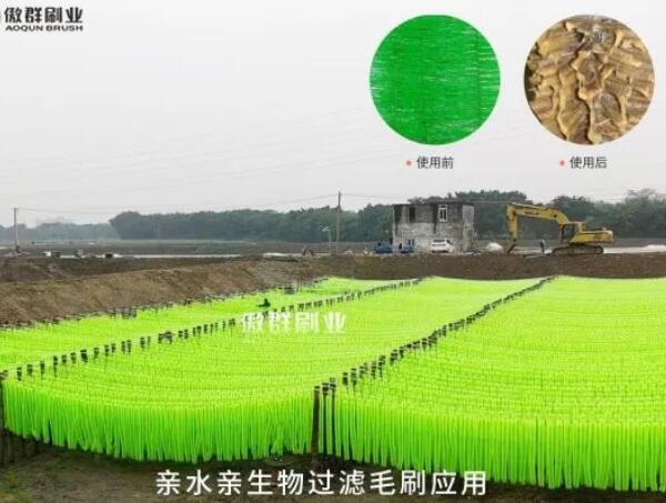 親生物親水過(guò)濾毛刷